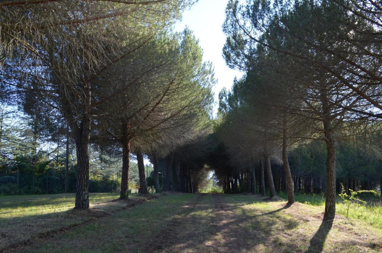 Agriturismo Le Case Di San Vivaldo Montaione Exterior photo